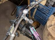 Grajewo ogłoszenia: Dzień dobry, mam do sprzedania rower marki Kross model Black... - zdjęcie