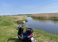 Grajewo ogłoszenia: Sprzedam Skuter Toro 50  z 2017 r   
Zarejestrowany  stan bardzo... - zdjęcie