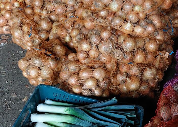 Grajewo ogłoszenia: sprzedam pory 1szt/1zł ,cebula zwykła 1kg/1zł,cebula cukrowa...